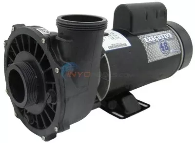 “executive Pump, 4 Hp, 230v, 2-speed, 48 Fr, 2” – 3421821-1A